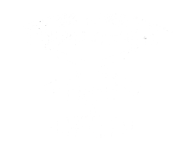 Bust N Burn Logo